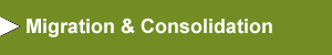 Migration and consolidation